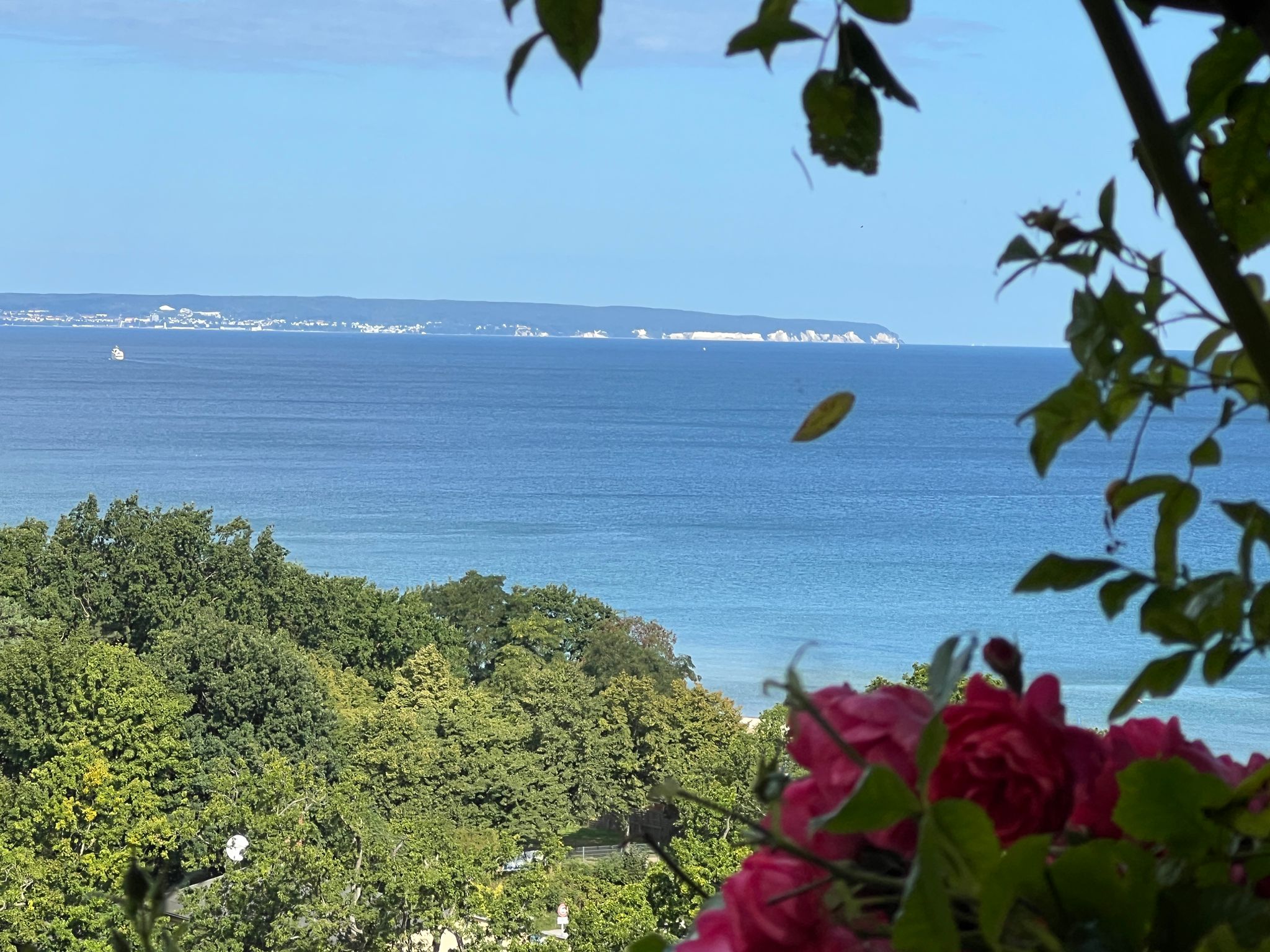 Blick vom Nordstrand zum Königstuhl