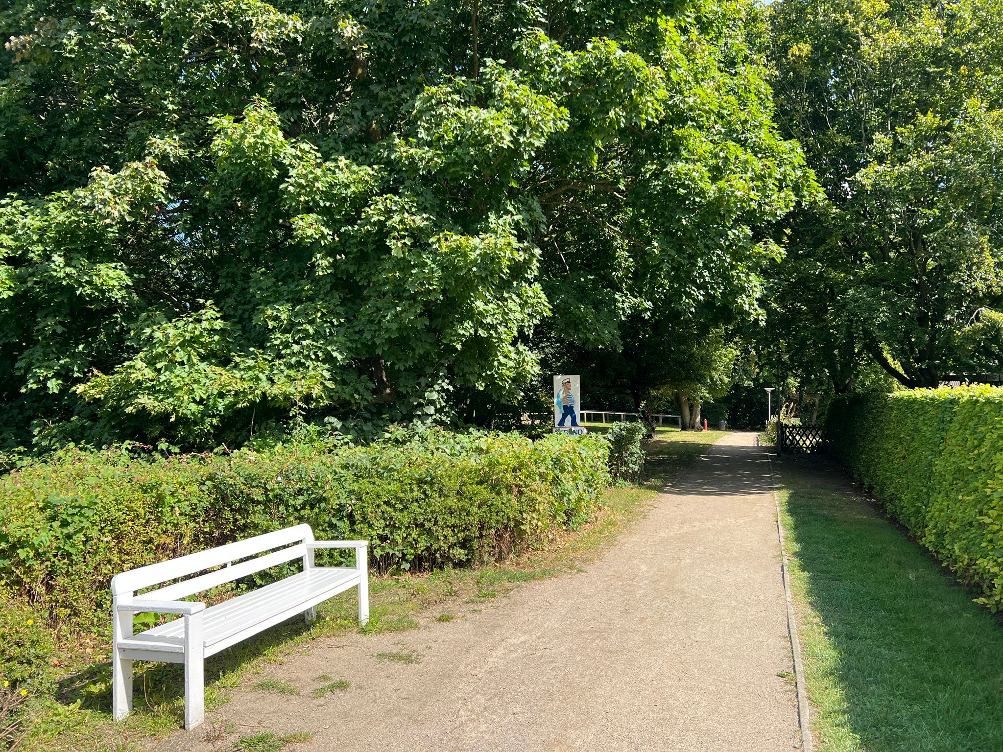 Waldpromenade mit Sitzbank