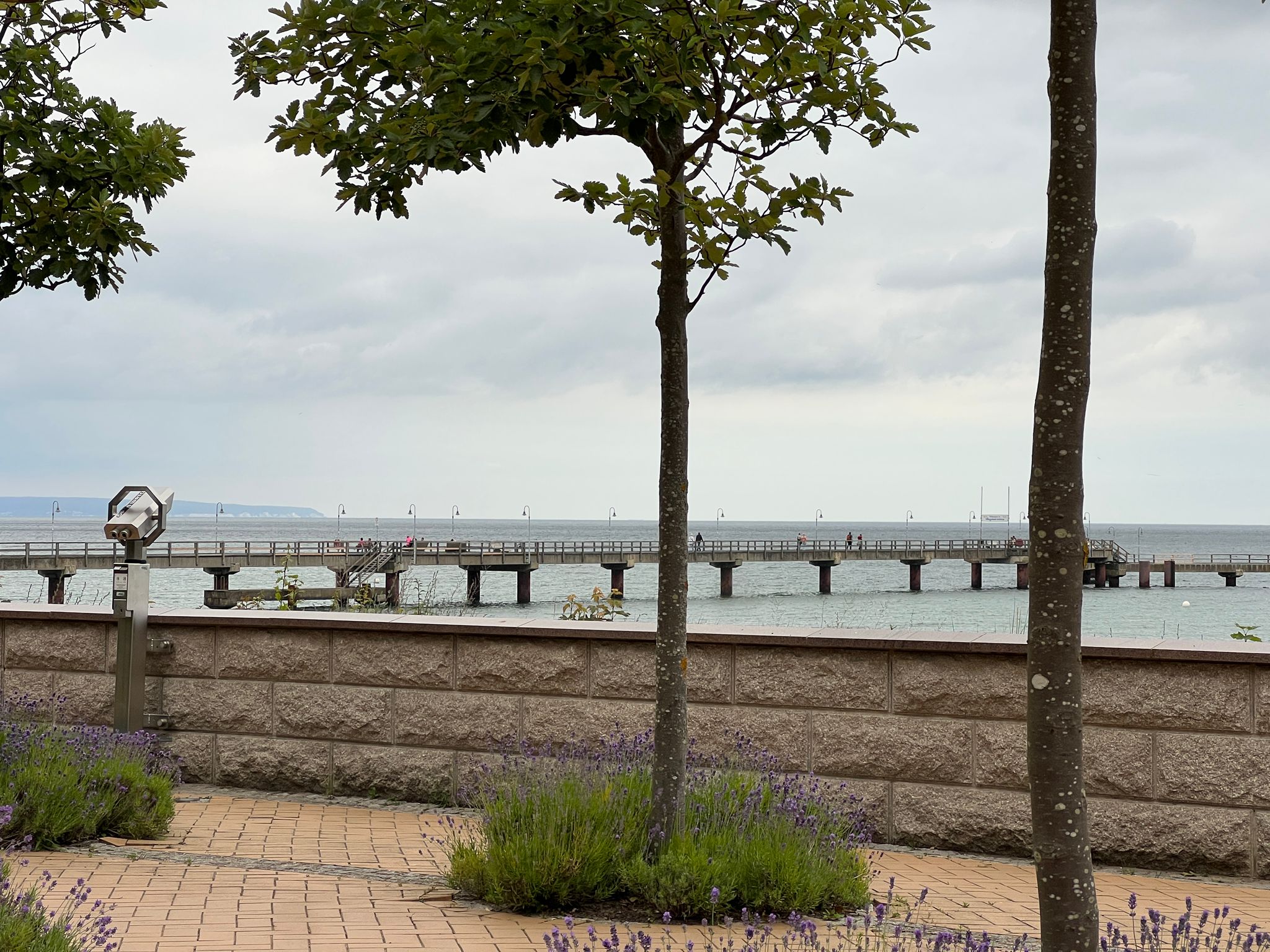 Strandpromenade mit Lavendelblüten und Sicht auf Seebrücke